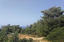 Property 53321 photo 4