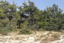 Property 53321 photo 3