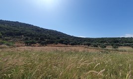 Land 28722 m² in Crete