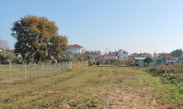 სასტუმრო 400 m² ოლიმპიურ რივიერაზე
