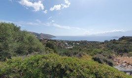 Land 1658 m² auf Kreta