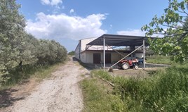 Building 900 m² in the suburbs of Thessaloniki