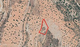 Land 9031 m² in Limassol