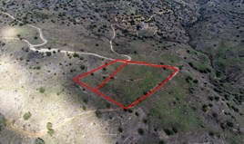 Land 11372 m² in Paphos