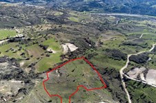 Property 54503 photo 1