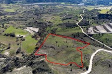 Property 54503 photo 2