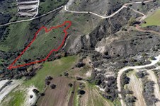 Property 54503 photo 3