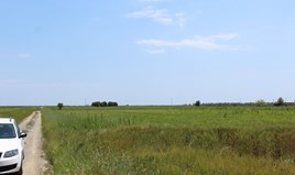 հողատարածք 5200 m² Օլիմպիական Րիվիերայում