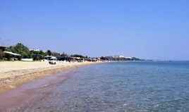 Flat 42 m² in Kassandra, Chalkidiki