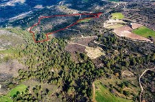 Property 54723 photo 2