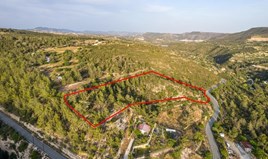 Land 10703 m² in Limassol