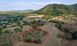 Land 2007 m² in Nicosia