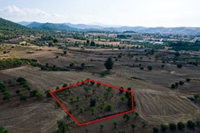 Property 54778 photo 2