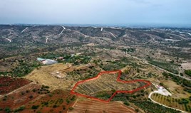 Terrain 12710 m² à Larnaka