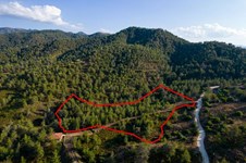 Property 54780 photo 1