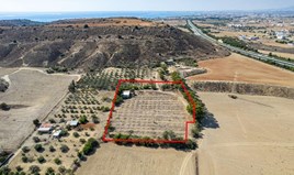 Terrain 6690 m² à Larnaka