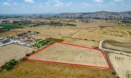 Land 9700 m² in Larnaka