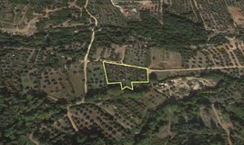 أرض 4848 m² في ثاسوس