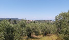 Land 4800 m² in Corfu