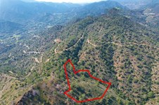 Property 56146 photo 1