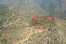 Property 56146 photo 3