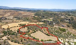 Land 29098 m² in Paphos