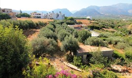 Land 3000 m² auf Kreta