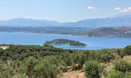 Land 6800 m² auf Kreta
