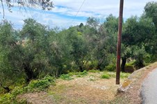 Property 56365 photo 14