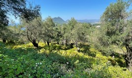 Land 1202 m² auf Korfu
