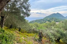 Property 56365 photo 1