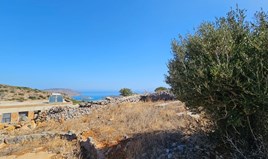 Land 800 m² auf Kreta
