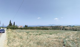 Terrain 6800 m² dans la banlieue de Thessalonique
