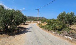 Парцел 3700 m² на Крит