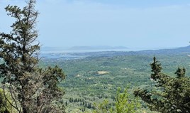Land 2100 m² auf Korfu