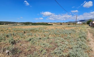 Land 8500 m² in Chalkidiki