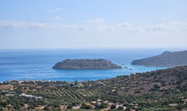 Land 14549 m² in Crete