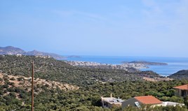 Земельна ділянка 6669 m² на Криті