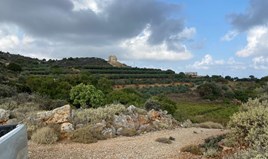 Terrain 4000 m² en Crète