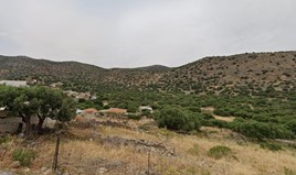 Terrain 1700 m² en Crète