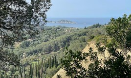 Land 12000 m² in Corfu
