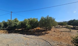 Land 1940 m² in Crete