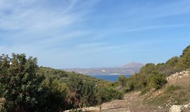 Land 3033 m² in Crete