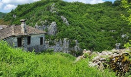 Land 450 m² in Epirus