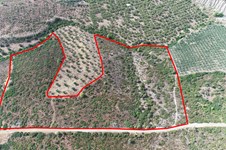 Land 37500 m² auf Sithonia (Chalkidiki)