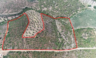 Land 37500 m² in Sithonia, Chalkidiki