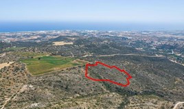 Land 38797 m² in Larnaka