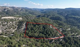 Land 27760 m² in Paphos