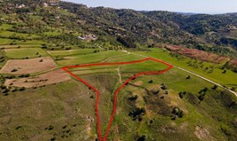 Land 14047 m² in Paphos