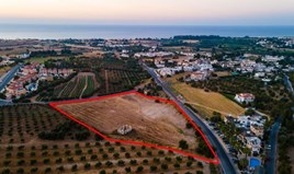 Land 13676 m² in Paphos